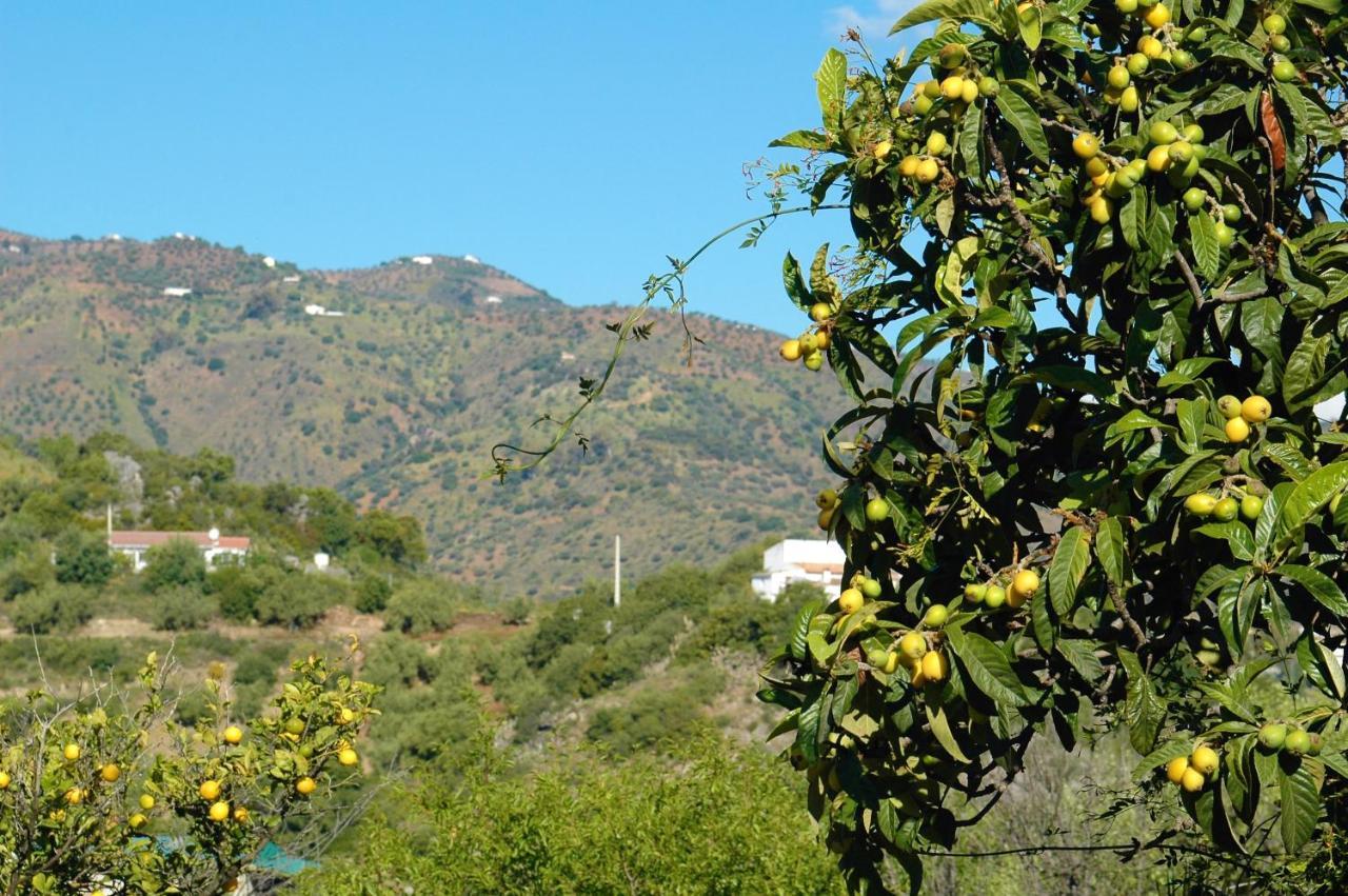Jingtu Wellness & Spa B&B Comares Exterior foto
